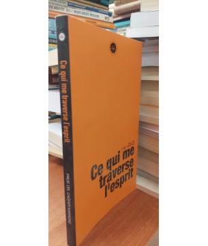 CE QUI TRAVERSE I'ESPRIT (Kafama Takılanlar)