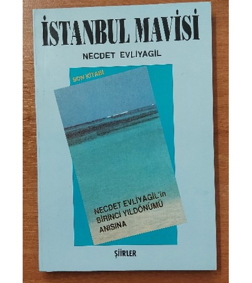 İSTANBUL MAVİSİ