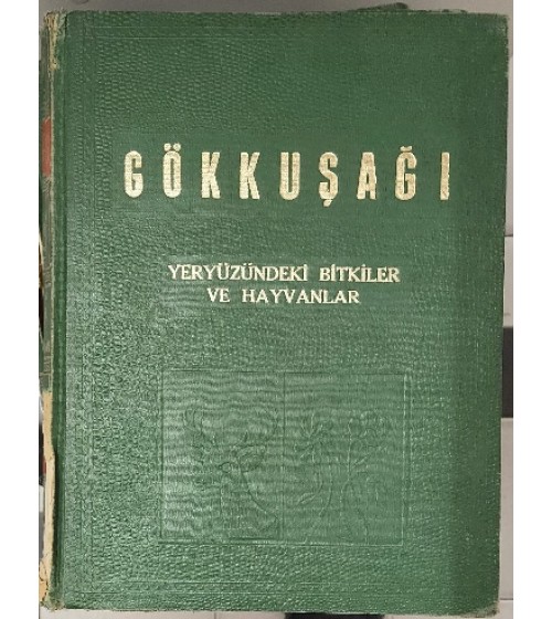 GÖKKUŞAĞI MODERN ANSİKLOPEDİK BİLGİLER CİLT 1 - YERYÜZÜNDEKİ BİTKİLER VE HAYVANLAR GÖKKUŞAĞI MODERN ANSİKLOPEDİK BİLGİLER CİLT 1 - YERYÜZÜNDEKİ BİTKİLER VE HAYVANLAR