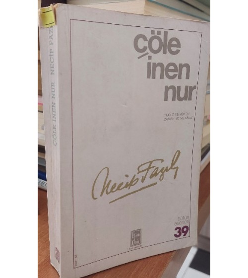 Çöle İnen Nur